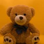 Toys & Games